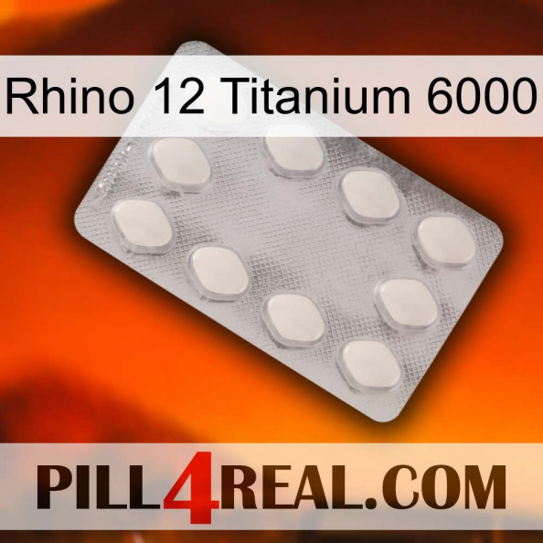 Rhino 12 Titanium 6000 16.jpg